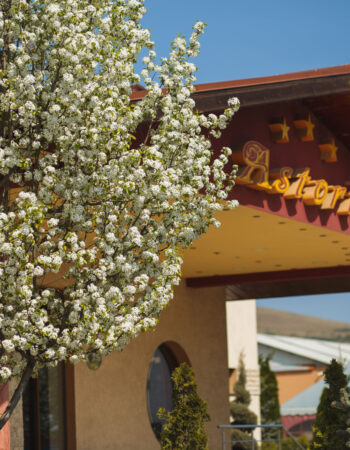 Hotel Astoria