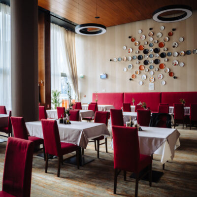 Restaurant Hotel Transilvania